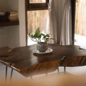 3* מלון Big Tree Boutique