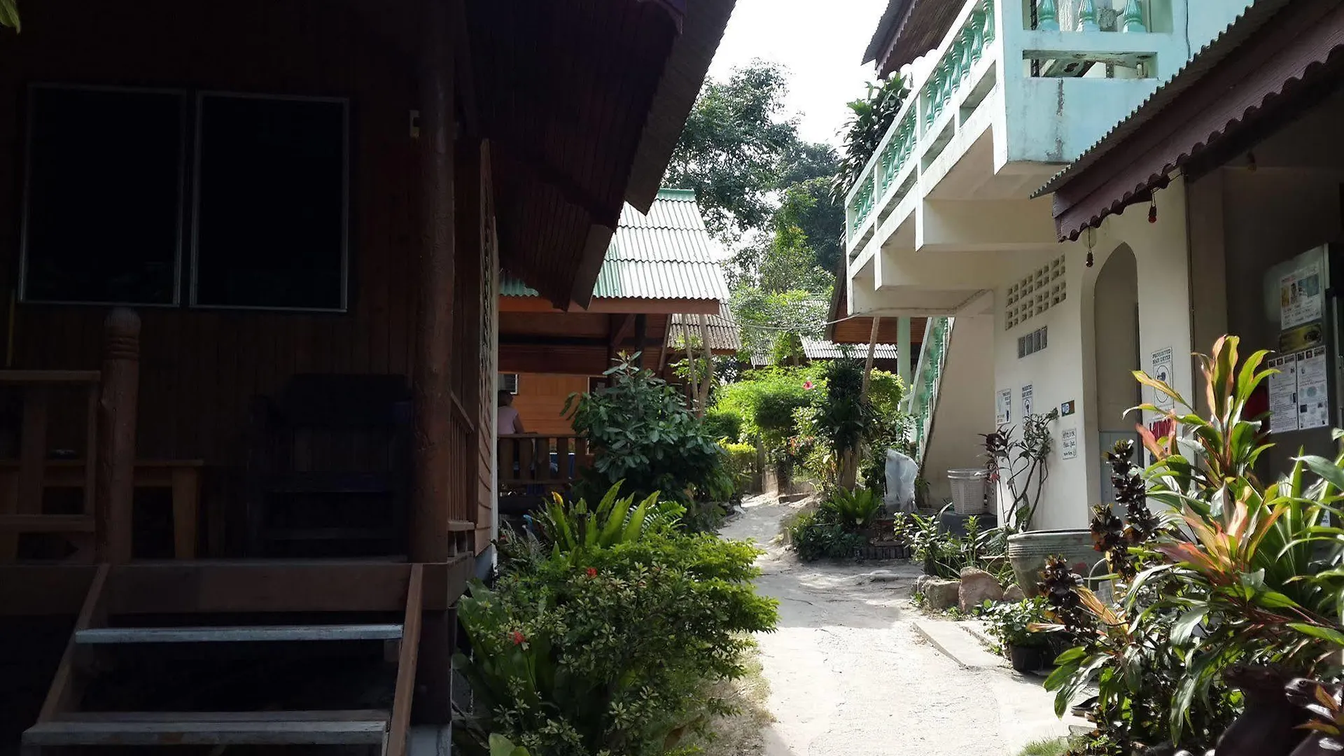 ** Hotel Save Bungalows Koh Tao Thailand