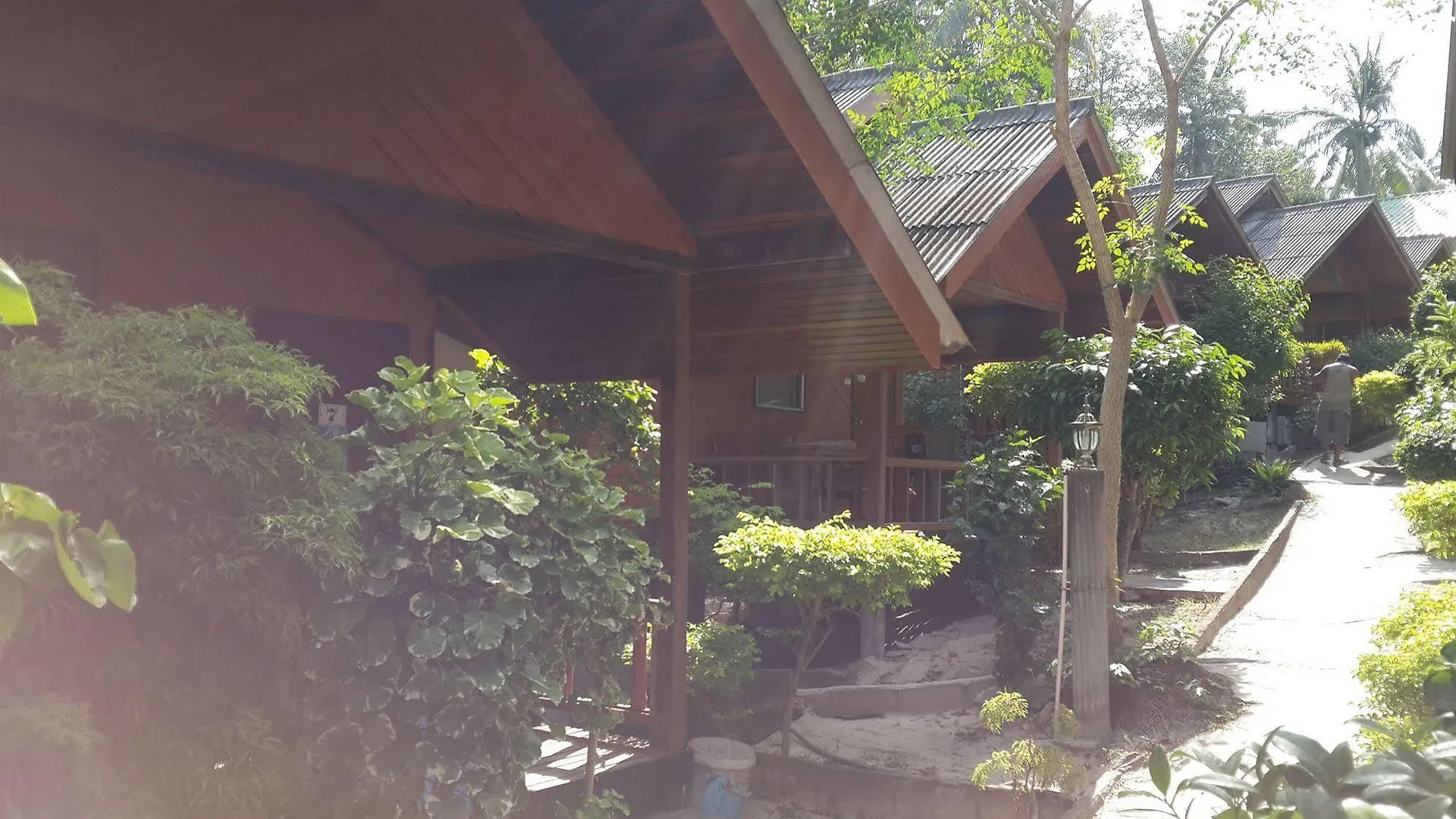 Hotel Save Bungalows Koh Tao